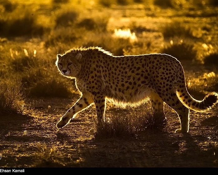 Top 9 Iran's Most Breathtaking Natural Wonders: Unveiling a Land of Varied Beauty